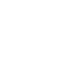 Dart