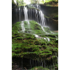 MOSS WATERFALL HÖRSCHBACH NEAR MURRHARDT