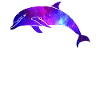 Dolphin Space Galaxy