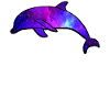 Dolphin Space Galaxy