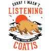 Coati Gift Proboscis Bear Coati