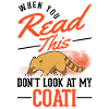 Coati cadeau Proboscis ours Coati