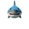 Shark