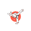 Bunny does Hapkido