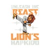 Leo does Hapkido