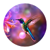 Hummingbird Magic Collection