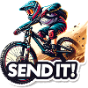 Epic Send It MTB