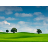 Calming landscape
