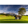 Humpback meadows near Mittenwald