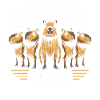 Capybara Capybara Rongeur Animal