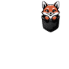 Fox Foxes Animal
