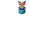Fox Foxes Animal