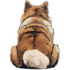 Akita