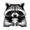 Grumpy Raccoon