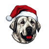 Kangal Dog Head Christmas Xmas