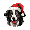 Border Collie Hund Kopf Weihnachten Xmas