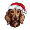 Dachshund Dog Dachshund Head Christmas