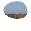All you need is beach