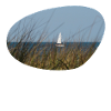 Sail away