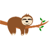 Sloth funny