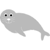 Seals, seals, seals, seals animals