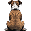 Boxeur