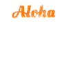 Aloha Hawaiian Summer Beach