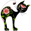 chat