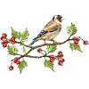 Bunter Vogel