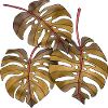 leaves