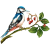 Bunter Vogel