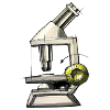 Science microscope