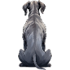 Great Dane