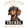 Chien de race TECKEL