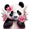 Cute Panda