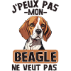 Beagle chien de race