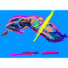 ray