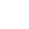 Mystical moth with magical ornaments