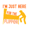 Pinball Flipper