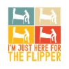 Pinball Flipper