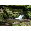 MONBACH IM NORDSCHWARZWALD