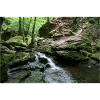 MONBACH IM NORDSCHWARZWALD