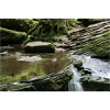 MONBACH IM NORDSCHWARZWALD