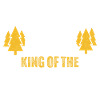 king of motorhome