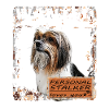Biewer Terrier funny motif
