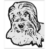 Biewer Terrier Hundeportrait Zeichnung