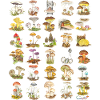Mushroom Diversity
