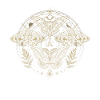 Moth Goth Moth Mystical