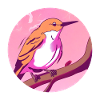 Spring Awakening Bird