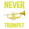Trumpet Trumpeter Trumpet Player